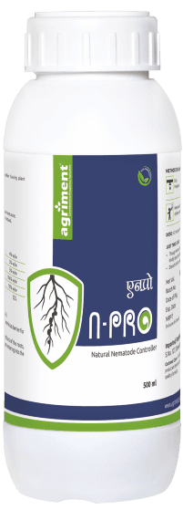 N-Pro