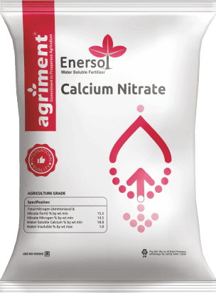 Calcium Nitrate