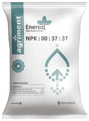 NPK 00-37-37