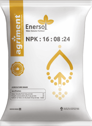 NPK 16-08-24