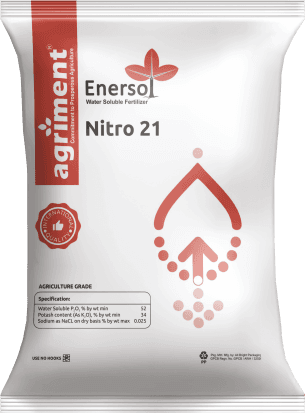 Nitro 21