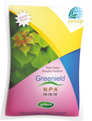 NPK 19-19-19