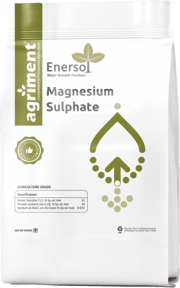 Magnesium Sulphate