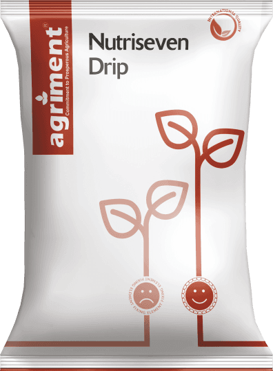 Nutriseven Dip