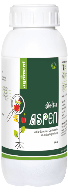 Aspen