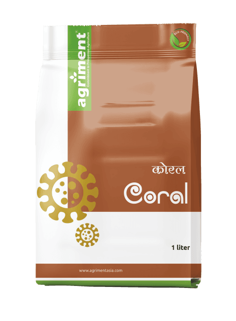 Coral