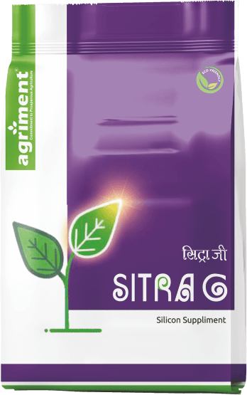 Sitra G